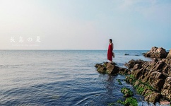 仙墓中走出的强者下载